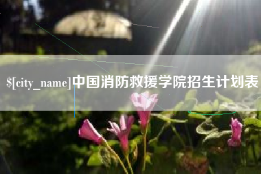 双峰中国消防救援学院招生计划表