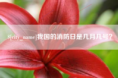 双峰我国的消防日是几月几号？