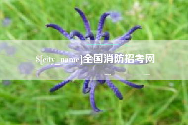 双峰全国消防招考网