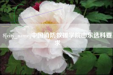 双峰中国消防救援学院山东选科要求