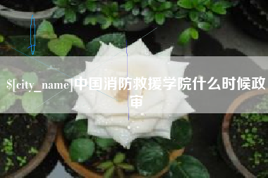 双峰中国消防救援学院什么时候政审