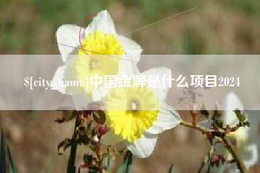 双峰中国金牌是什么项目2024