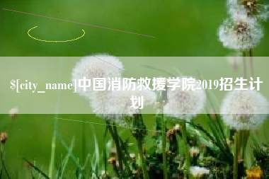 双峰中国消防救援学院2019招生计划