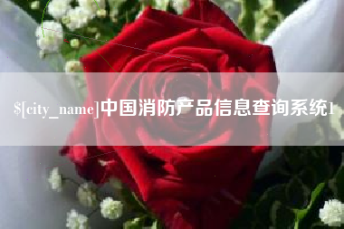 双峰中国消防产品信息查询系统1
