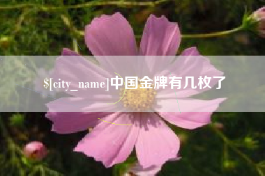 双峰中国金牌有几枚了