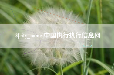 双峰中国执行执行信息网