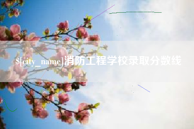 双峰消防工程学校录取分数线