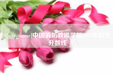 双峰中国消防救援学院2021年招生分数线