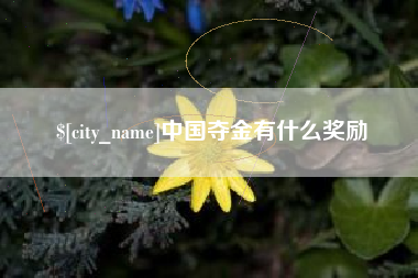双峰中国夺金有什么奖励