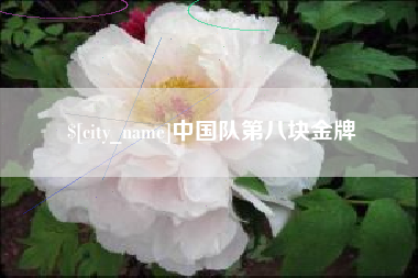 双峰中国队第八块金牌