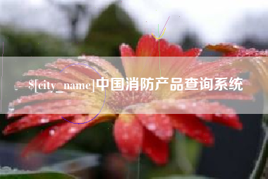 双峰中国消防产品查询系统