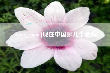 双峰现在中国哪几个金牌