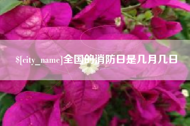 双峰全国的消防日是几月几日
