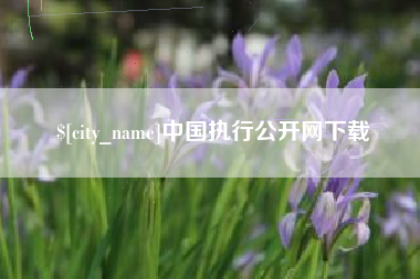 双峰中国执行公开网下载