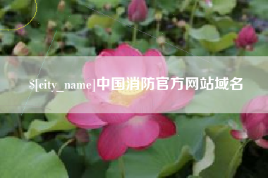 双峰中国消防官方网站域名