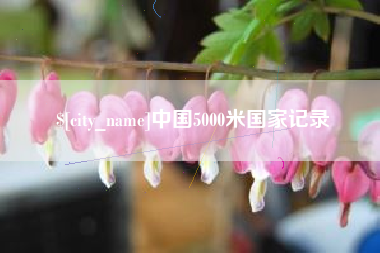 双峰中国5000米国家记录