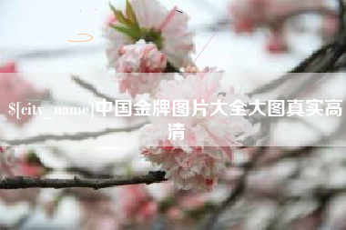 双峰中国金牌图片大全大图真实高清