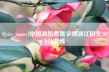 双峰中国消防救援学院浙江招生2020分数线