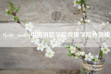 双峰中国消防学院救援学院分数线