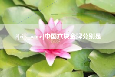 双峰中国六块金牌分别是