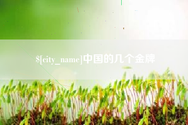双峰中国的几个金牌