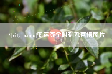 双峰奥运夺金时刻九宫格图片