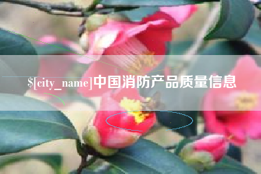 双峰中国消防产品质量信息