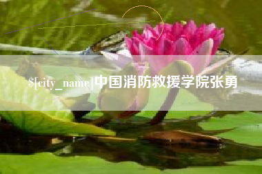 双峰中国消防救援学院张勇