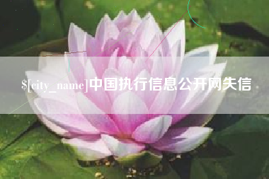 双峰中国执行信息公开网失信