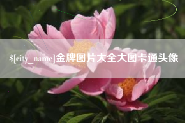 双峰金牌图片大全大图卡通头像