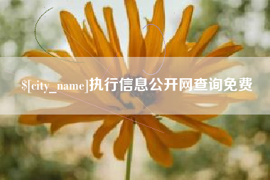 双峰执行信息公开网查询免费